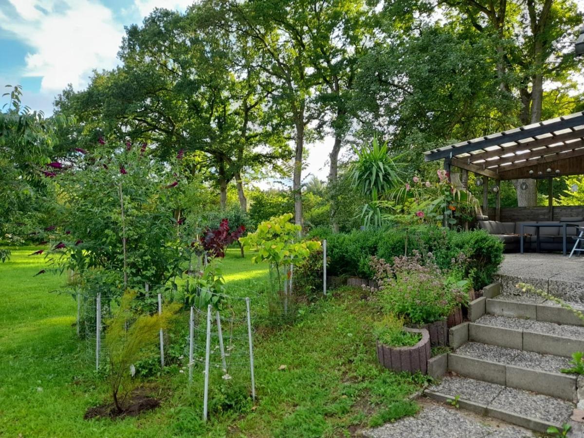 Haus Wald Und Wiese Wohnung Wald Ehndorf Exteriér fotografie